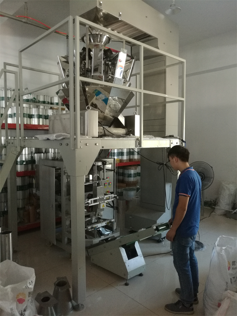 Large automatic packaging machine